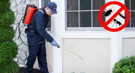 Simav Gümüşkurt İlaçlama böcek ilaçlama ve haşere kontrolü — ilaclama-tr.com